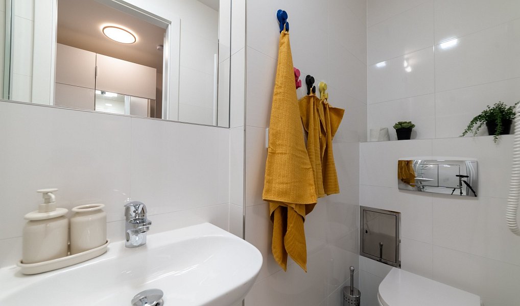 Prodej bytu 1+kk 24 m², Praha – náhled fotky 7
