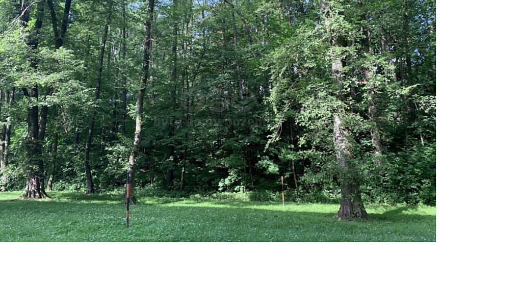 Prodej komerčního pozemku 9 272 m², Třinec – náhled fotky 2