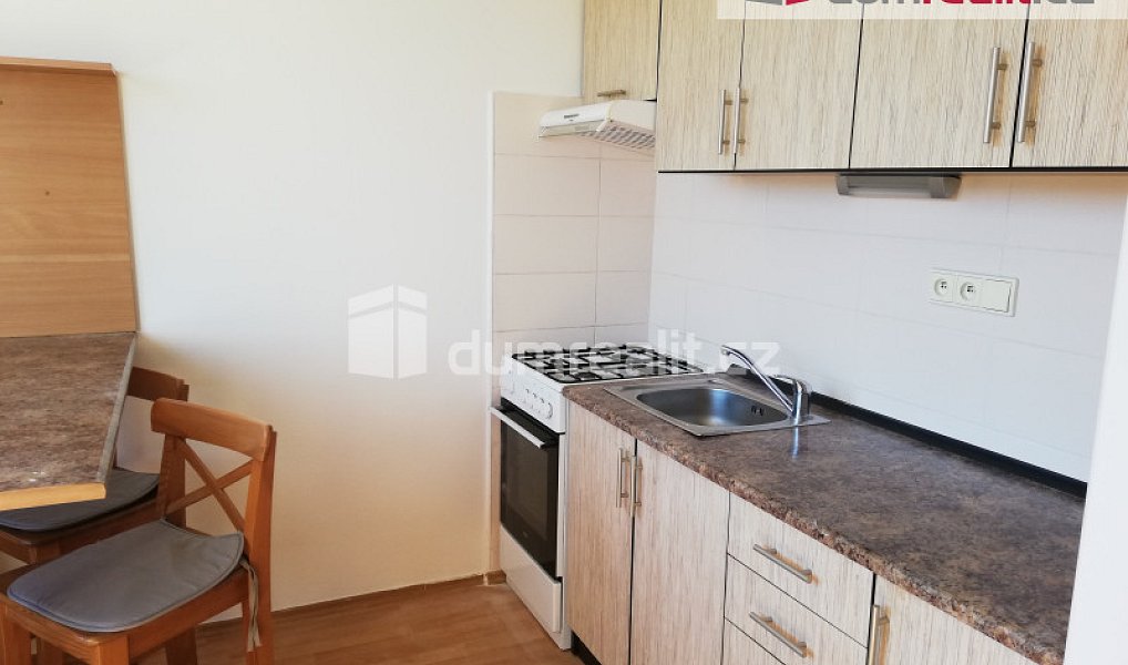 Pronájem bytu 1+1 39 m², Plzeň – náhled fotky 2