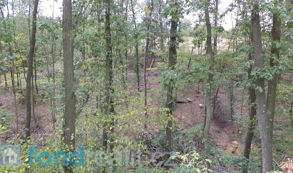 Prodej pozemku 19 641 m², Traplice – náhled fotky 5