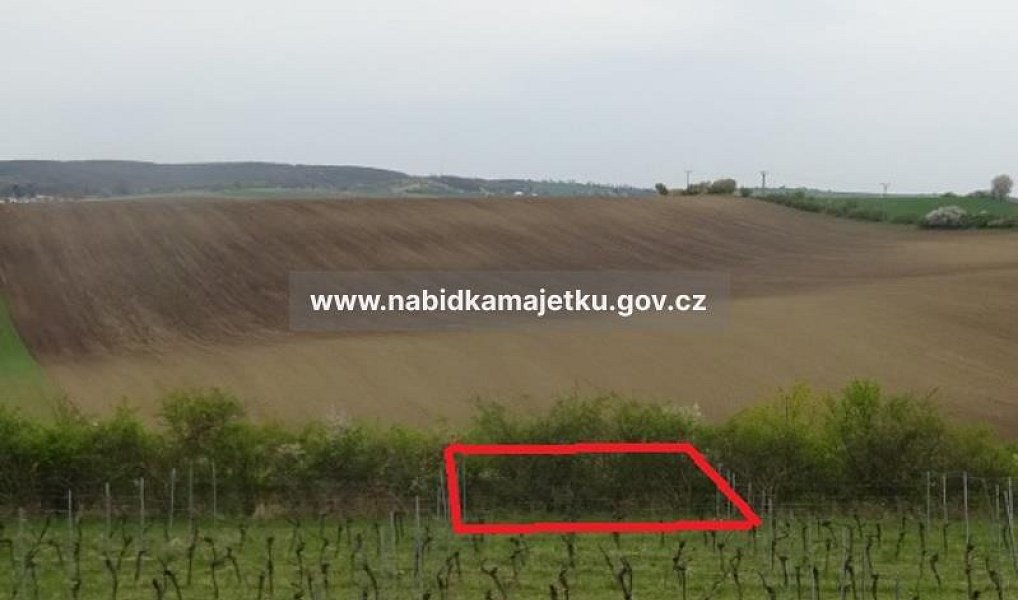 Prodej pole 918 m², Klobouky u Brna – náhled fotky 5