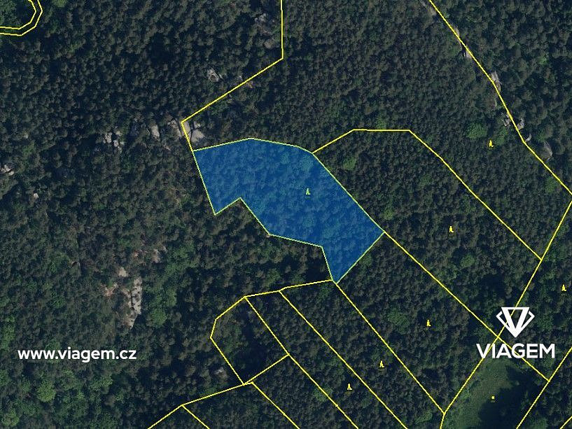 Prodej lesa 2 093 m² – fotografie 3