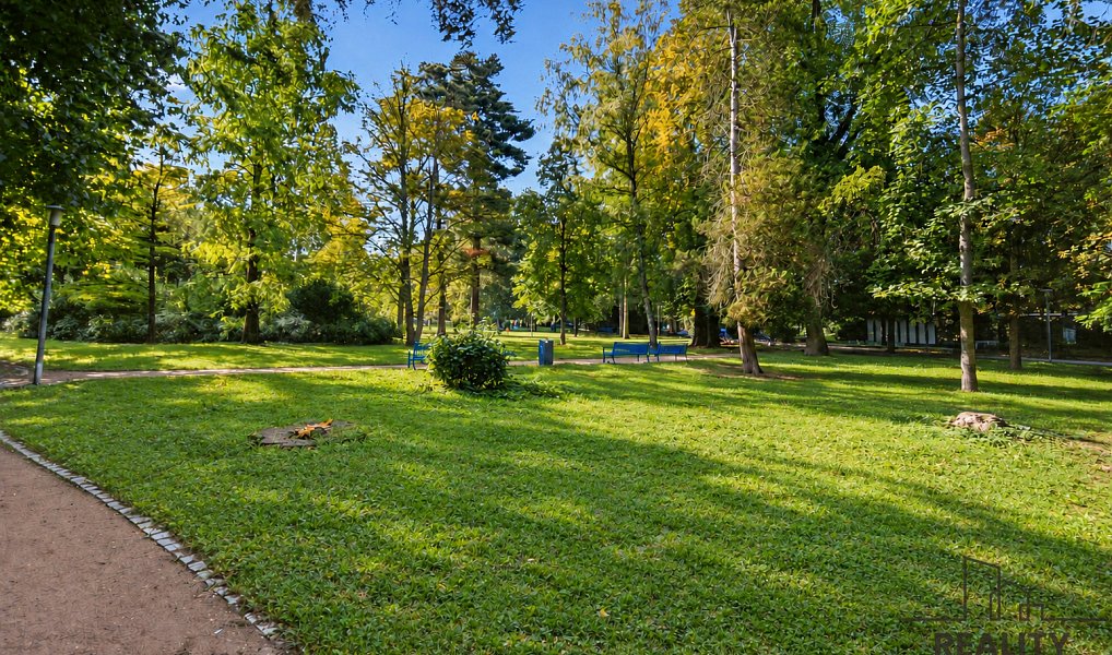Prodej bytu 1+1 42 m², Pardubice – náhled fotky 11