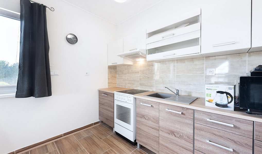 Prodej komerčního objektu (jiného typu) 956 m², Miřetice – náhled fotky 13