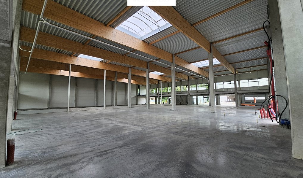 Pronájem skladovacích prostor 6 000 m², Ostrava – náhled fotky 9