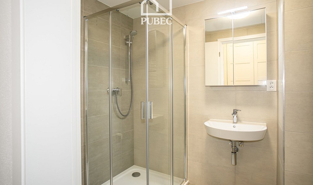 Pronájem bytu 1+kk 30 m², Plzeň – náhled fotky 7