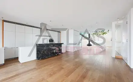 Pronájem bytu 4+kk 250 m²