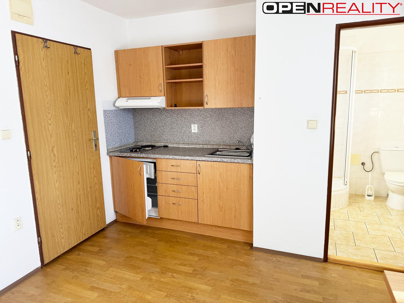 Pronájem bytu 1+kk 16 m² – fotografie 3