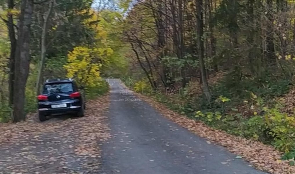 Prodej zahrady 3 492 m², Přílepy – náhled fotky 15