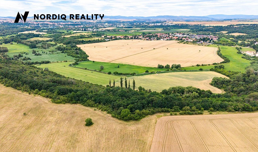 Prodej pole 2 841 m², Staňkovice – náhled fotky 10