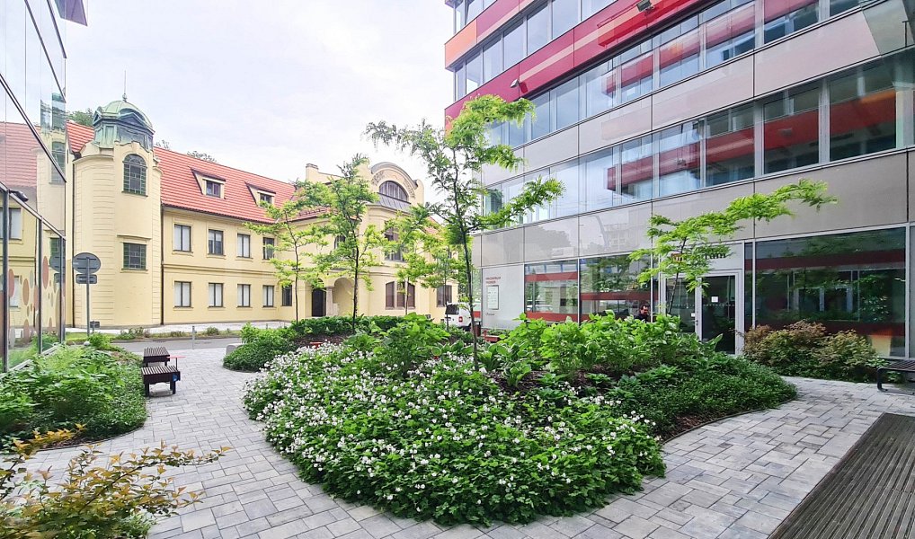 Pronájem kanceláře 315 m², Praha – náhled fotky 12