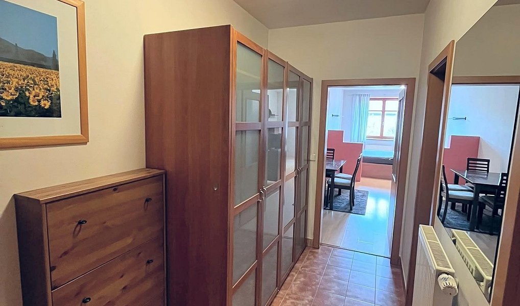 Pronájem bytu 1+kk 40 m², České Budějovice – náhled fotky 8