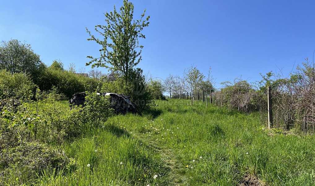 Prodej stavebního pozemku 3 311 m², Benátky nad Jizerou – náhled fotky 3