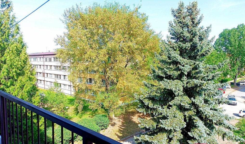 Prodej bytu 2+kk 45 m², Lysá nad Labem – náhled fotky 12