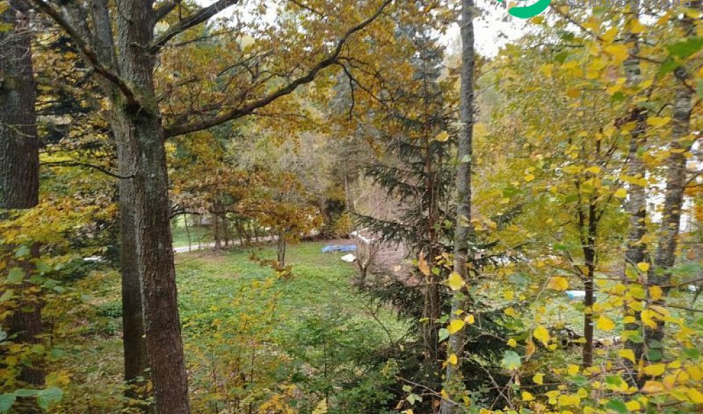 Prodej stavebního pozemku 2 020 m², Benecko – náhled fotky 2