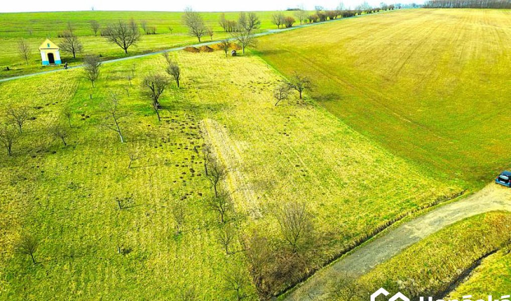 Prodej zahrady 2 399 m², Bořenovice – náhled fotky 4