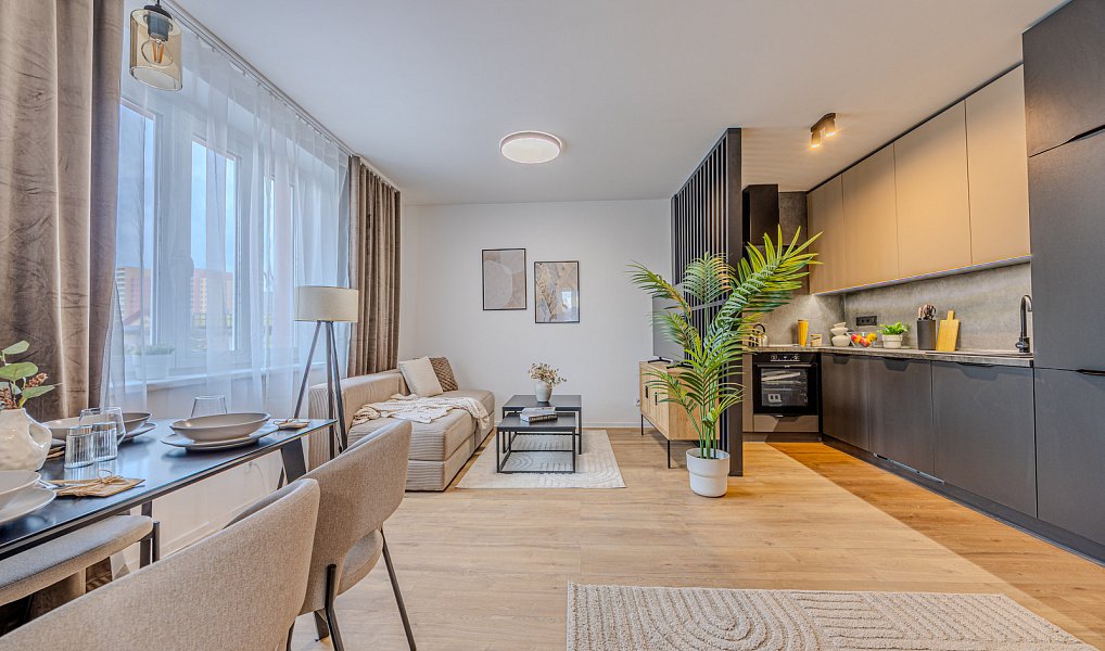 Prodej bytu 3+kk 60 m², Ostrava – náhled fotky 4