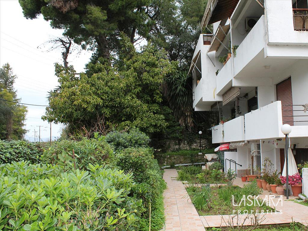 Prodej domu 165 m² s pozemkem 4 000 m²