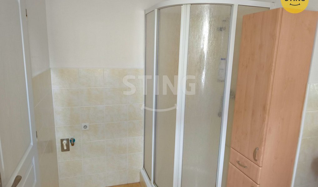 Pronájem bytu 3+kk 55 m², Dolní Rožínka – náhled fotky 4