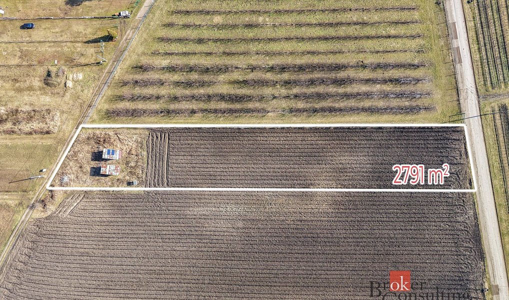 Prodej pozemku 2 791 m², Velké Bílovice – náhled fotky 5
