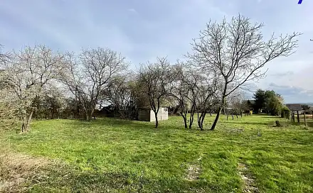 Pronájem zahrady 2 586 m², Křičeň