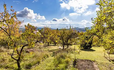 Prodej zahrady 560 m², Příchovice, okres Plzeň-Jih