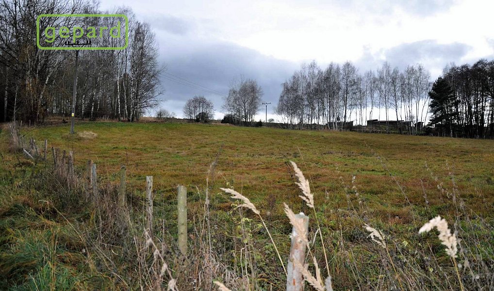 Prodej pole 4 674 m², Trhové Sviny – náhled fotky 4