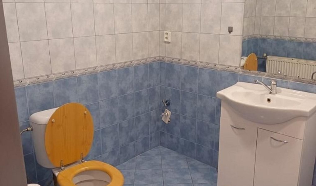 Pronájem bytu 3+kk 100 m², Bělušice – náhled fotky 9