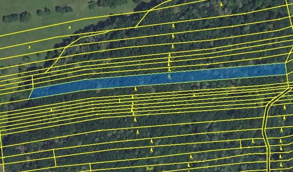 Prodej lesa 4 947 m², Hradčovice – náhled fotky 4