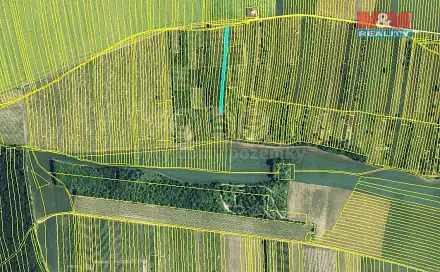 Prodej pole 1 597 m², Brumovice, okres Břeclav