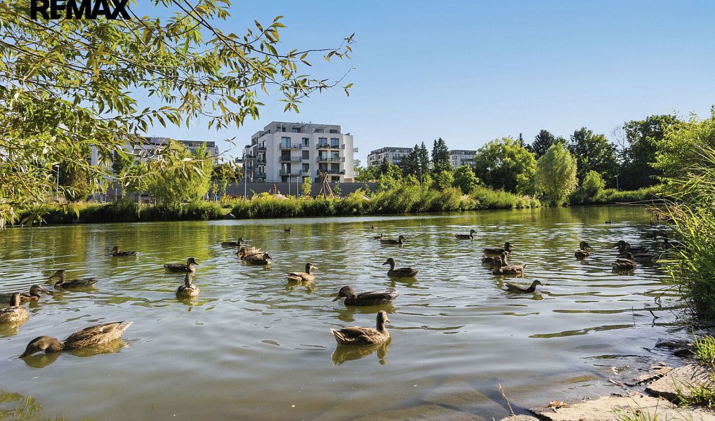Prodej bytu 2+kk 48 m², Praha – náhled fotky 28