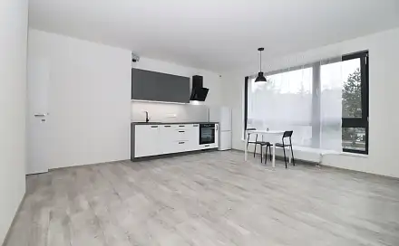 Pronájem bytu 2+kk 66 m², Vrchlického, Jihlava
