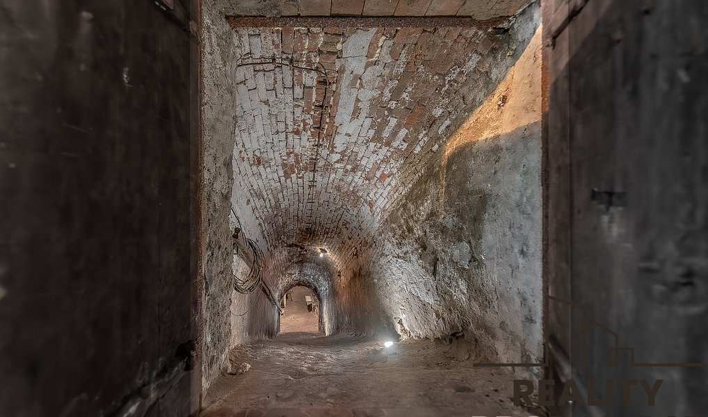 Prodej vinného sklepa na pozemku 450 m2 s ve Strachoticích, okr. Znojmo, Strachotice – náhled fotky 6