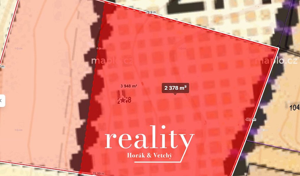 Prodej stavebního pozemku 3 948 m², Červená Voda – náhled fotky 13