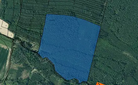 Prodej lesa 15 173 m², Nadryby, okres Plzeň-sever