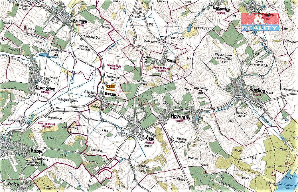 Prodej pole 250 m² – fotografie 5