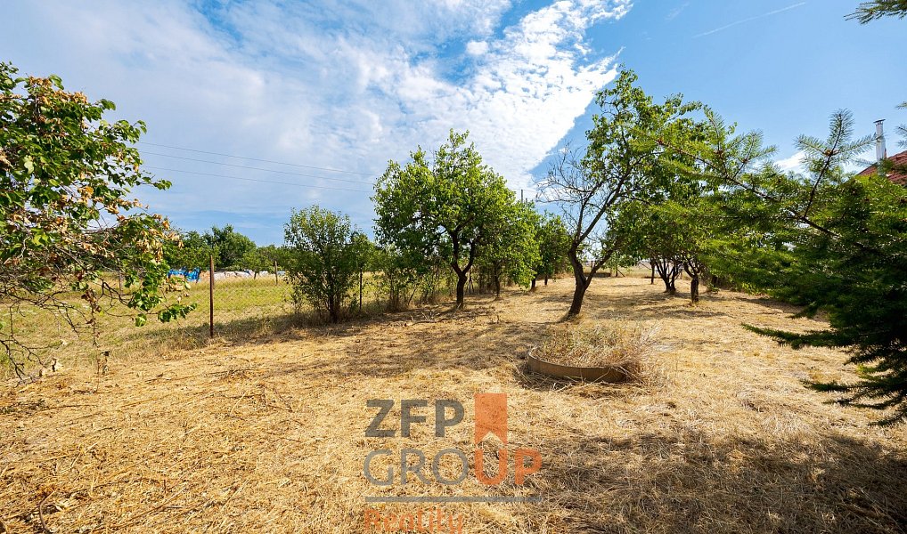 Prodej zahrady 1 372 m², Znojmo – náhled fotky 8