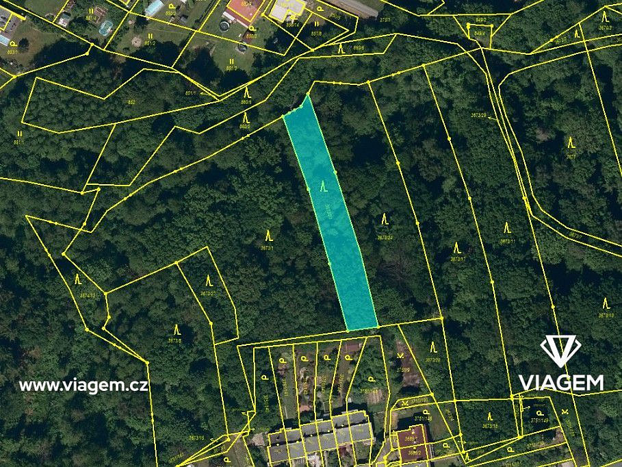 Prodej lesa 597 m² – fotografie 3