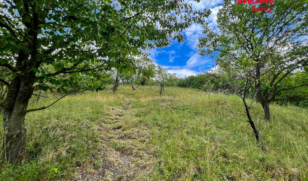 Prodej chaty/chalupy 40 m² s pozemkem 1 592 m², Litoměřice – náhled fotky 4