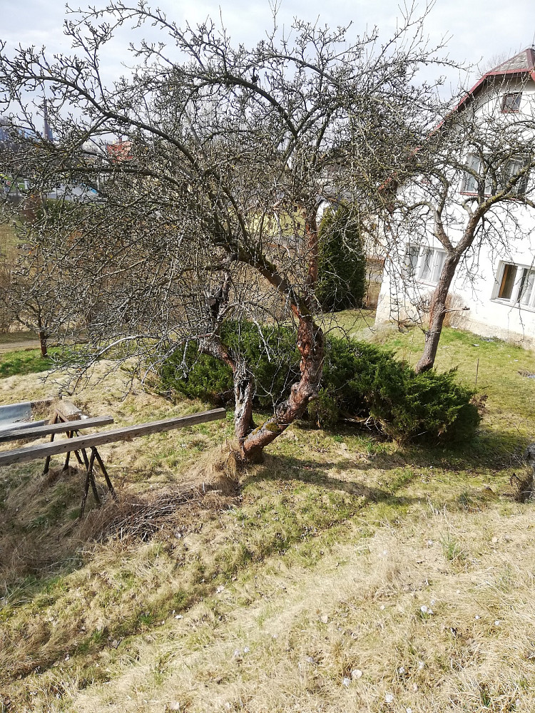 Prodej stavebního pozemku 1 708 m² — photo 3