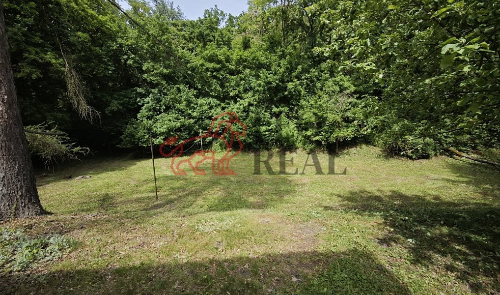 Prodej domu 183 m² s pozemkem 2 192 m², Dětenice – náhled fotky 20