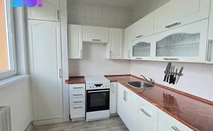 Prodej bytu 3+1 72 m², Františka Hajdy, Ostrava - Hrabůvka