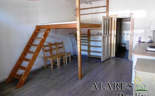 Pronájem bytu 1+kk 29 m², U Výstaviště, Praha 7 - Holešovice