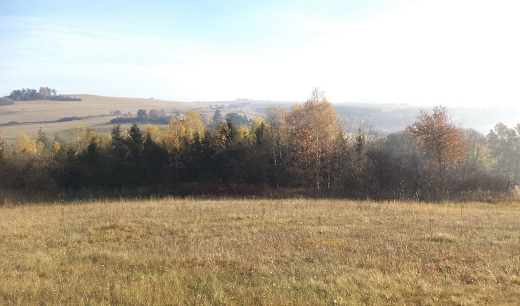 Prodej pozemku 60 778 m², Budišov nad Budišovkou – náhled fotky 3