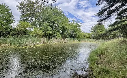 Prodej louky 17 967 m², Rybníky - Libice, okres Příbram