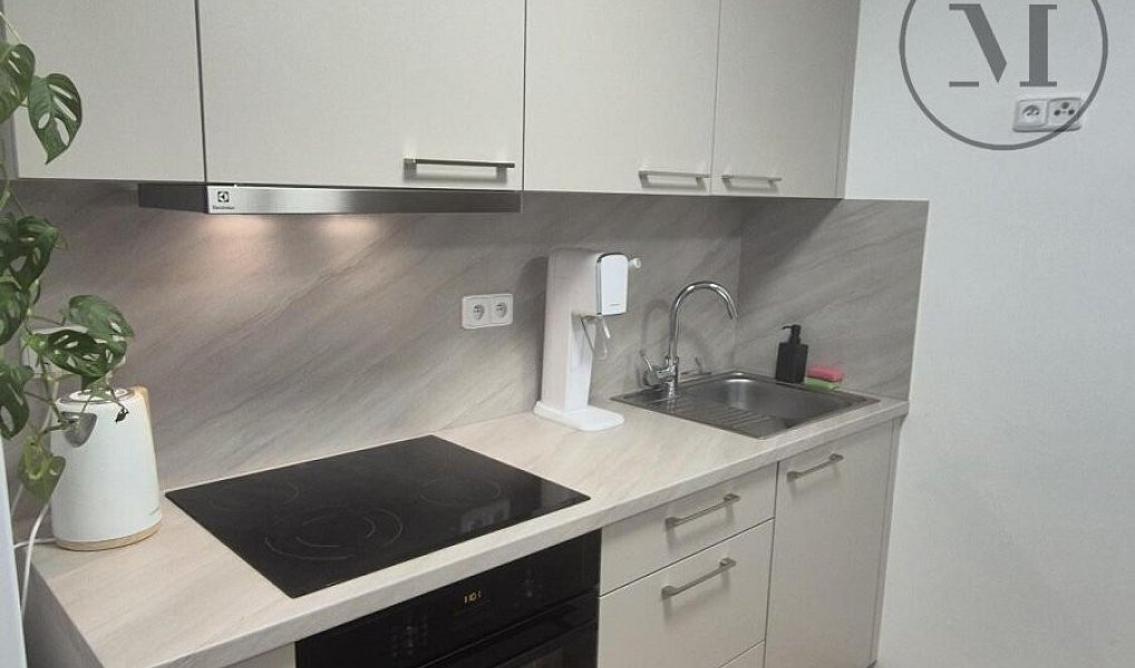 Pronájem bytu 1+kk 22 m², České Budějovice – náhled fotky 5