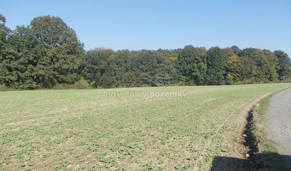 Prodej lesa 18 338 m², Ostrava – náhled fotky 12