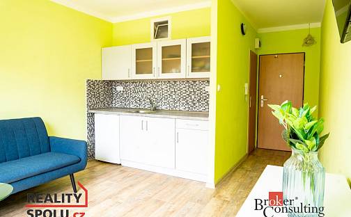 Pronájem bytu 1+kk 18 m², Železná, Ústí nad Labem - Neštěmice