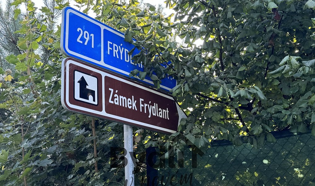 Prodej stavebního pozemku 1 012 m², Nové Město pod Smrkem – náhled fotky 19