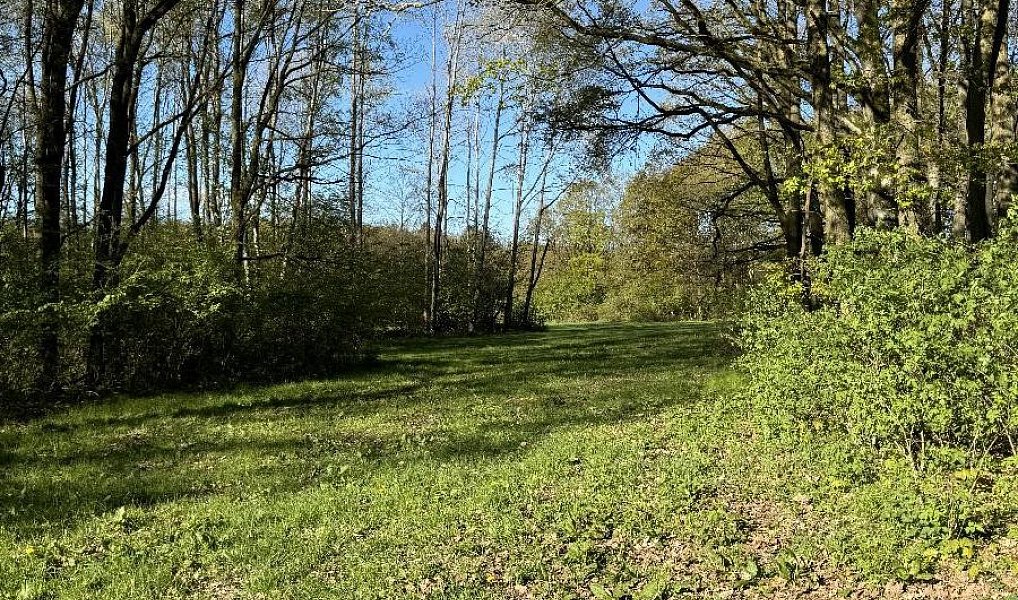 Prodej pozemku 20 250 m², Nýřany – náhled fotky 2
